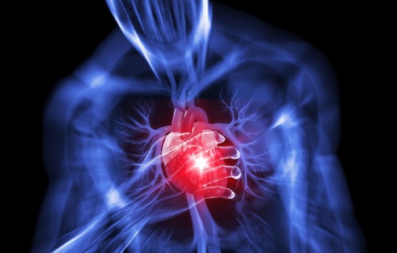 cardiovascular-disease5
